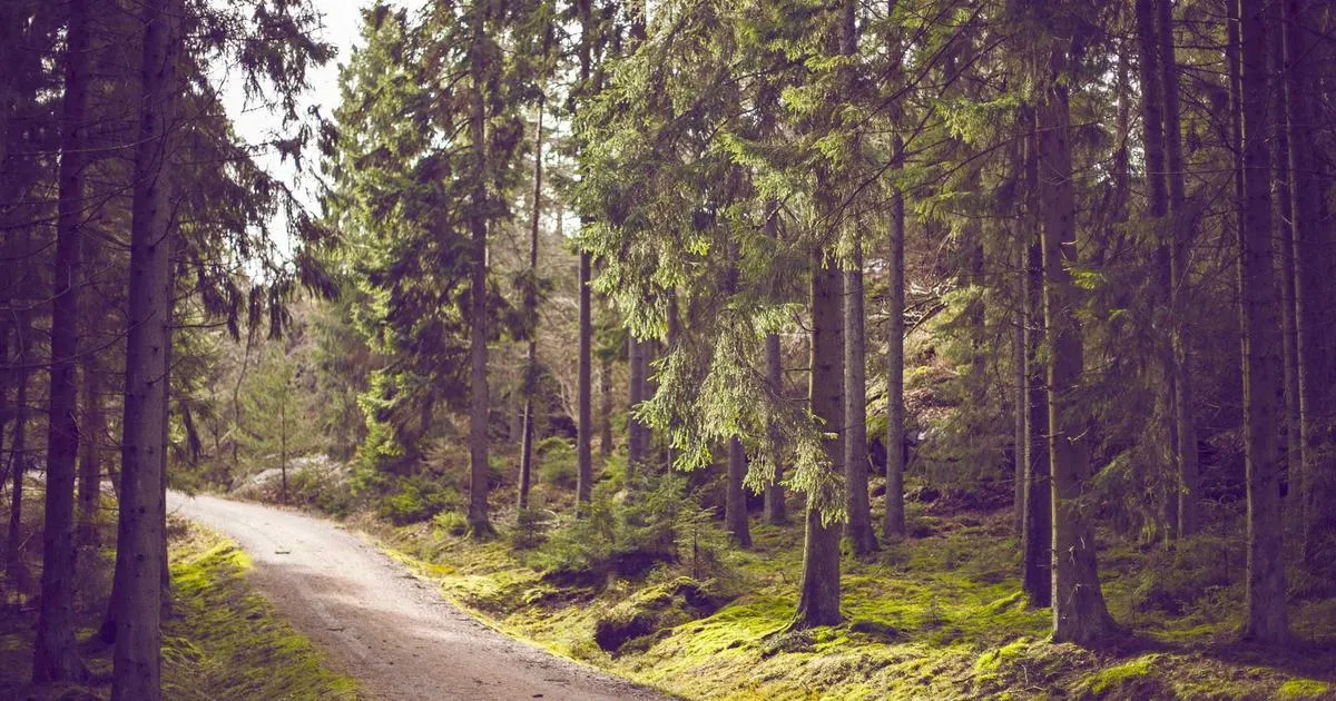 Groupe Facebook Landiste : Voyages, mécanique, rencontres et passion Land Rover